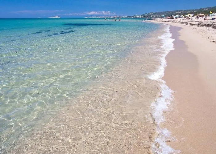 公寓 White, With Pool Viddalba